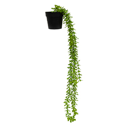 Maceta Negra con Hoja Abundancia 60cm