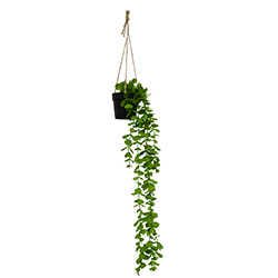 Maceta Colgante  con Hoja Sedum  60cm