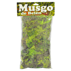 Musgo Pequeño Ecológico