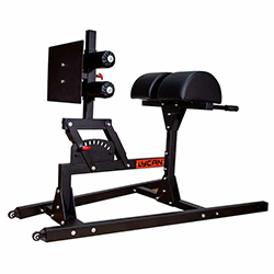 Maquina de Cardio Glut Ham Developper Negra