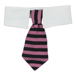Corbata Rayas para Mascotas