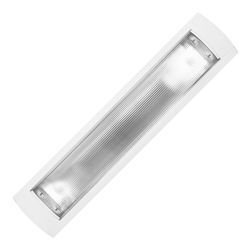Lámpara Fluorescente con 2 Tubos para Sobreponer con Cubierta Plástica