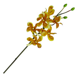 Flor Orquídea Pus Mix