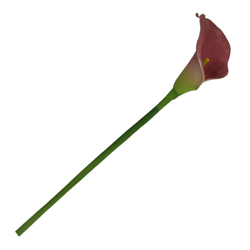 Flor Mini Calla Roja
