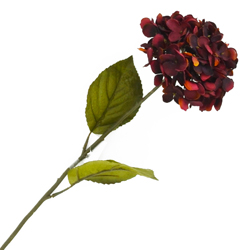 Flor Hortensia Pequeña Roja 