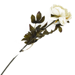 Flor Peonia Pequeña Blanca 