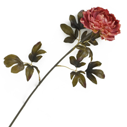 Flor Peonia Pequeña Salmon 