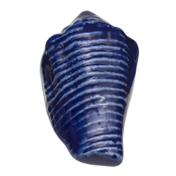 Pomo Seashell Azul