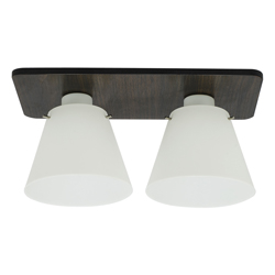 Lámpara de Techo Beechwood Doble 