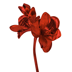 Flor Navideña Roja