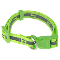 Collar Neon para Perro Pequeño