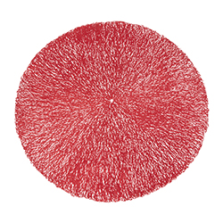Individual de PVC Rojo de 38cm
