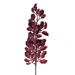 Rama Navideña Crispada Vino 68cm