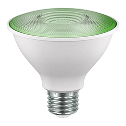 Foco Led Par38 13w E27 Luz Verde Eurolight