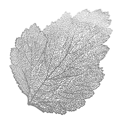 Individual  Leaf Plata 46cm