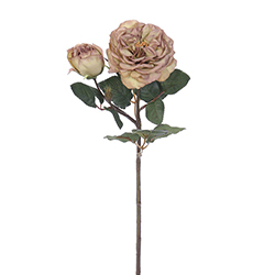 Flor Rosa Inglesa Crema 46cm