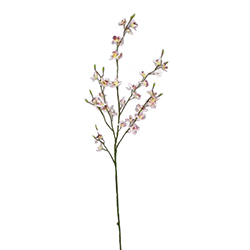Flor Mini Orquidea Cymbidium Blanca 93cm