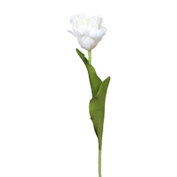 Flor Tulipán Abierto Blanco 50cm