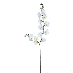 Flor Orquidea Phalaenopsis Blanca 75cm