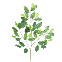 Hoja Ficus Spray 61cm