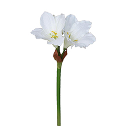 Flor Amaryllis Grande Blanca 55cm