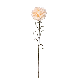 Flor Carnation Beige 65cm