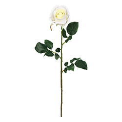 Flor Rosa Blanca 67cm