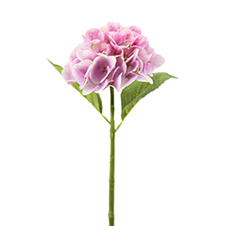 Flor Hydrangea Rosa 50cm
