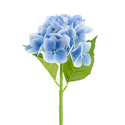 Flor Hydrangea Azul 50cm