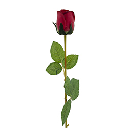Rosa Roja 70cm