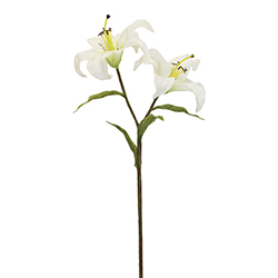 Flor Tiger Lily Blanca 56cm