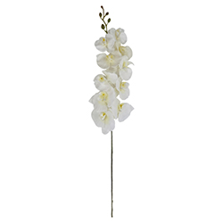 Flor Orquídea Gigante Blanca 10 Flores 94cm