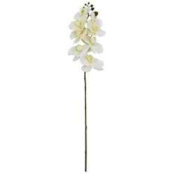 Flor Orquídea Gigante Blanca 7 Flores 75cm