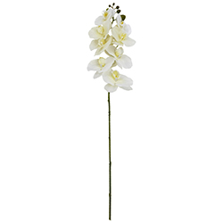 Flor Orquídea Gigante Blanca 75cm