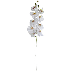 Flor Orquídea Gigante Blanca 9 Flores 104cm