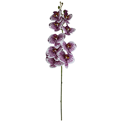 Flor Orquídea Gigante Blanca Lila 104cm