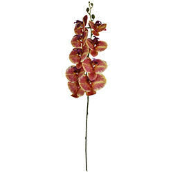 Flor Orquídea Gigante Amarilla Roja 104cm