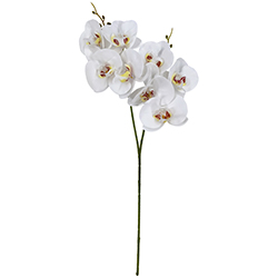 Flor Orquídea Gigante Blanca 8 Flores 56cm