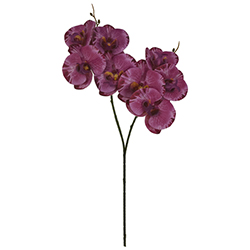 Flor Orquídea Gigante Lila Oscuro 8 Flores 56cm