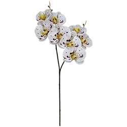 Flor Orquídea Gigante Blanca Roja 8 Flores 56cm