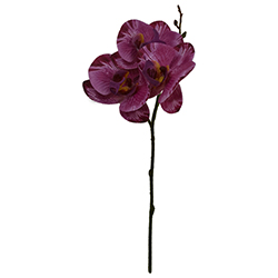 Plantas Artificiales