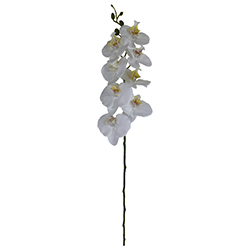 Flor Orquídea  Grande Blanca Roja 8 Flores 84cm