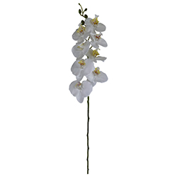 Flor Orquídea  Grande Blanca Roja 84cm