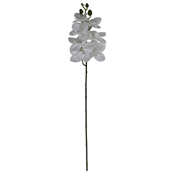Flor Orquídea Mediana Blanca 7 Flores 60cm