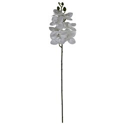 Flor Orquídea Mediana Blanca 60cm