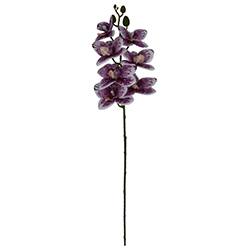 Flor Orquídea Mediana Blanca Lila 60cm