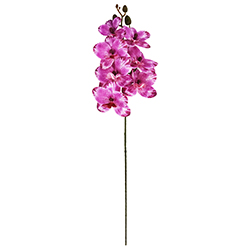 Flor Orquídea Mediana Lila Oscuro 7 Flores 60cm
