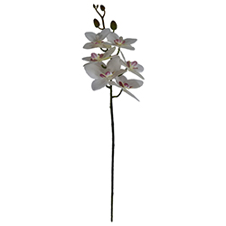 Flor Orquídea Mediana Blanco Fucsia 6 Flores 60cm