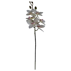 Flores Decorativas