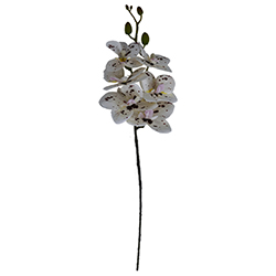 Flor Orquídea Mediana Blanca Roja 60cm